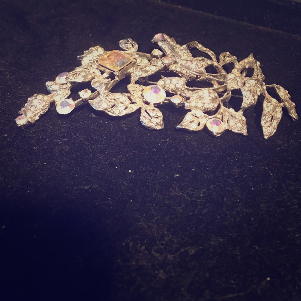 Beautiful jeweled brooch
